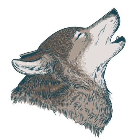 Wolf Logo Vector Images (over 17,000)