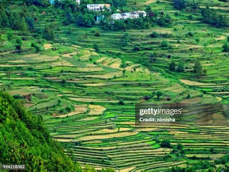 75 Kausani Stock Photos, High-Res Pictures, and Images - Getty Images