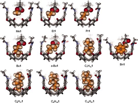 Self Fulfilling Cavitands Packing Alkyl Chains Into Small Spaces Pnas