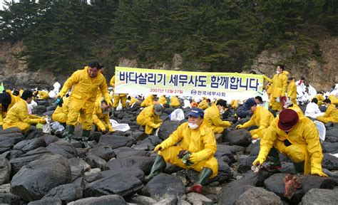 한국세무사회 200여 회원 태안 피해지역서 구슬땀