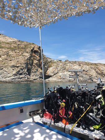 Le Paradis Des Bulles Port Vendres Le Paradis Des Bulles