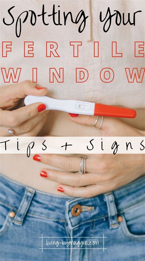 Spotting Your Fertile Window - Discover the Best Tips!