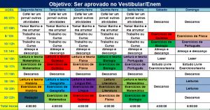 Como Montar um Plano de Estudo que Funcione PROF REGIS CORTÊS