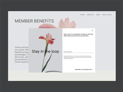 Elegant Pop-Up Window Design by Cagla Zoralioglu on Dribbble