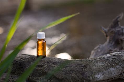 Tea Tree Oil Propriet E Benefici Moody Skin