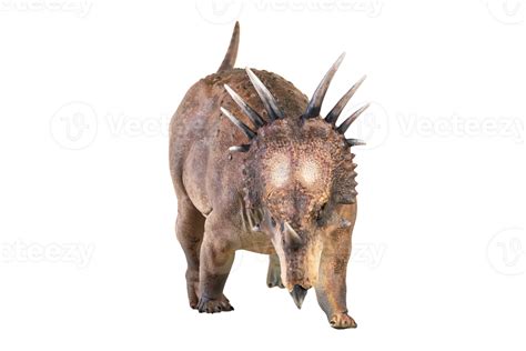 Styracosaurus dinosaur on isolated background 39146937 PNG