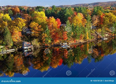 Fall Colours Along the Lake Stock Photo - Image of colours, shore ...