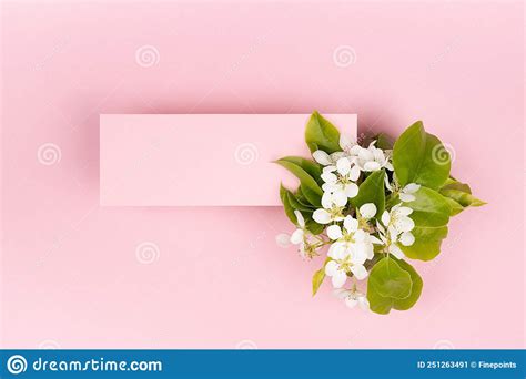 Tarjeta En Blanco Rectangular Rosa Para La Burla De Texto Con Flores De