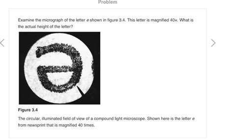 Letter E Slide Under Microscope At Linda Henson Blog