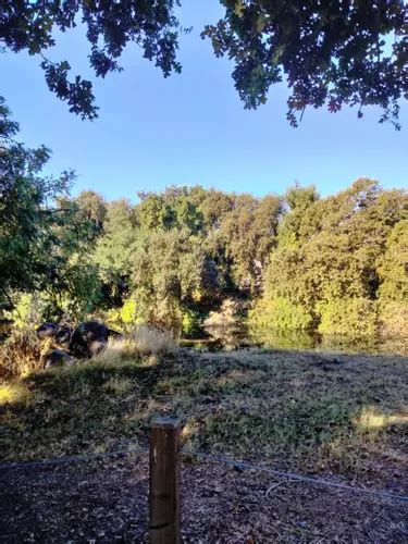 Best Hikes and Trails in Natomas Oak Park | AllTrails