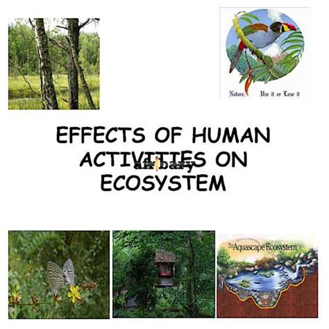 Bio 102 Effects Of Anthropogenic Activities On Ecosystem Afribary