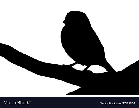 Sparrow silhouette Royalty Free Vector Image - VectorStock