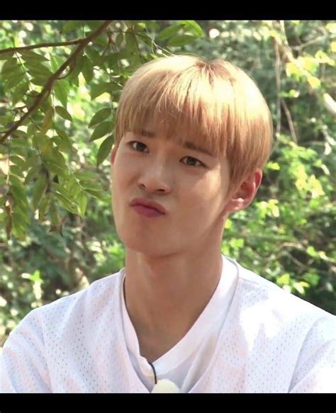 Đầu gấu Gyeonggido 