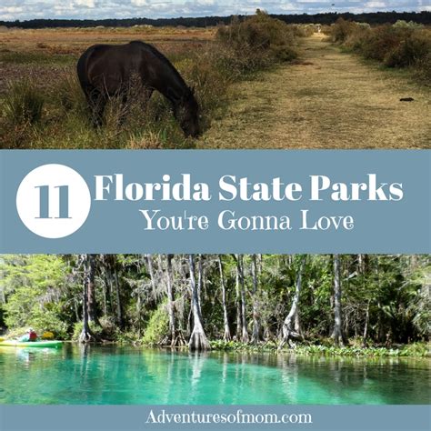 11 Florida State Parks That You'll Love | Adventures of Mom