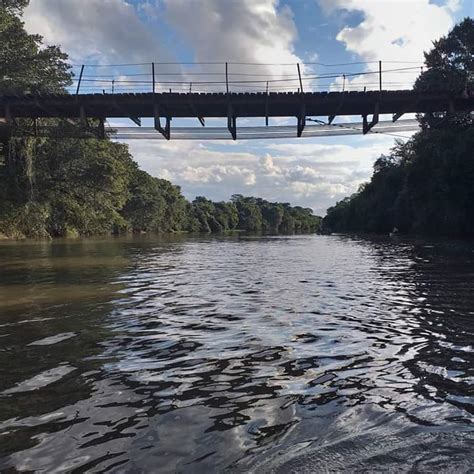 ICMBio Centro Nacional de Pesquisa e Conservação de Peixes