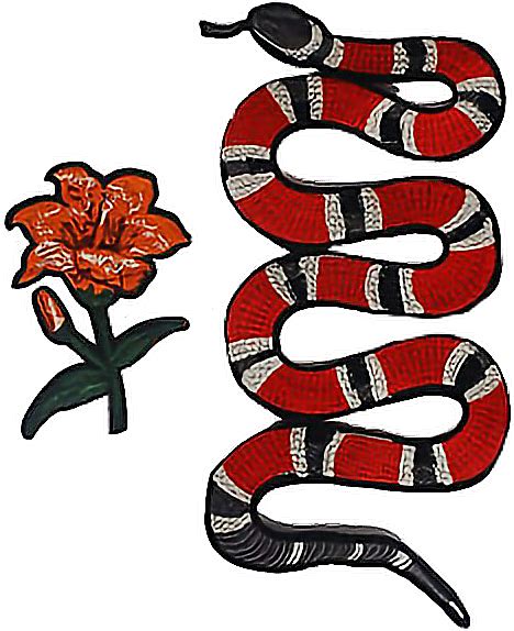 Gucci Flowers Png Long Snake Iron On Patch Free Transparent Png