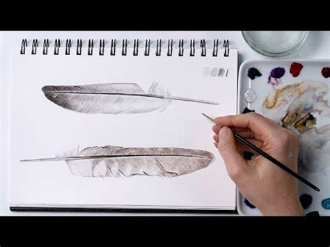 How To Paint Realistic Feathers In Watercolor With Anna Mason YouTube