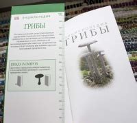 Книга: Грибы - Кибби, Эванс. Купить книгу, читать рецензии | Лабиринт