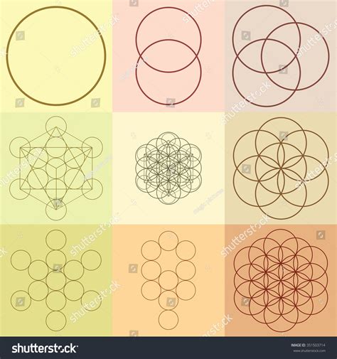 Vector Illustration Flower Life Sacred Geometry Stock Vector Royalty Free 351503714 Shutterstock