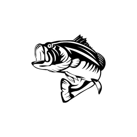 Bass Fisch Illustrationsdesign Templatex Premium Vektor