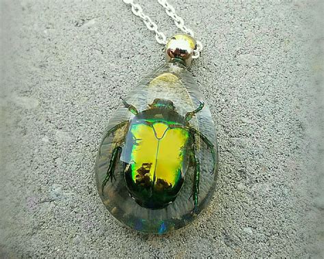 Real Beetle In Resin Necklace Insects In Lucite Oddities Curiosities