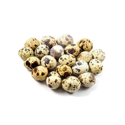 Quail Eggs — Farm to Doorstep