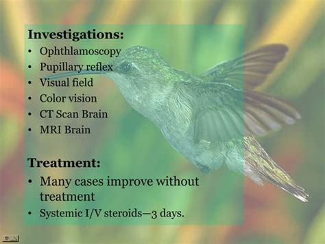 Optic nerve Diseases By: Sumayya Naseem Optometrist | PPT