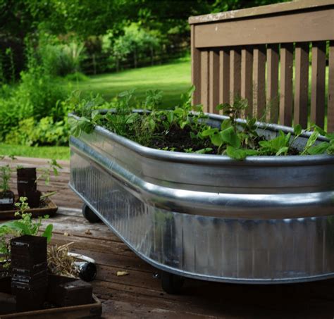 What Grows Best In Raised Garden Beds at Wesley Doreen blog