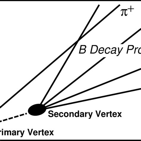 Schematic Of The Decay B → B π Ellipses Represent The