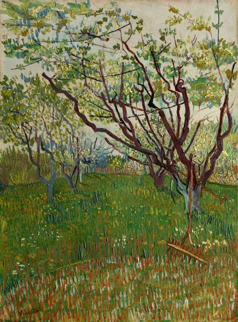 O Pomar Florido 1888 De Vincent Van Gogh Tela Para Quadro Na Santhatela