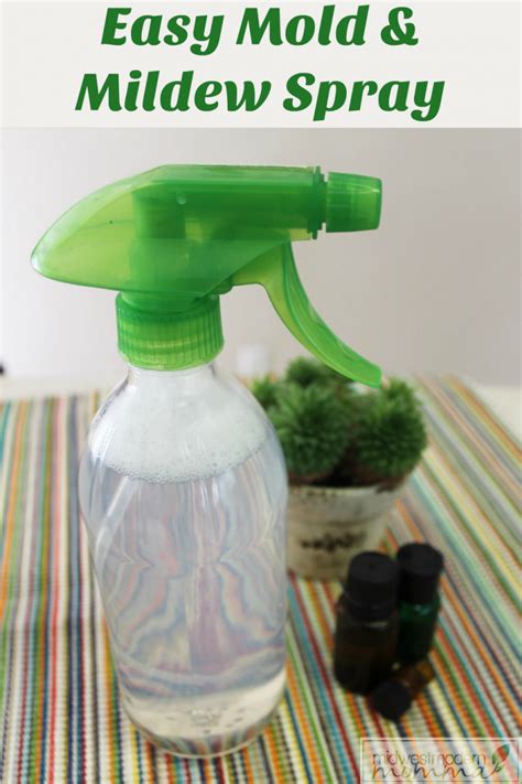 Homemade Mildew Removal Spray {Mold too!} - Midwest Modern Momma