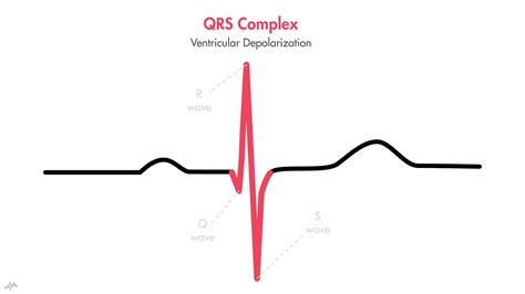 Ventricular Depolarization