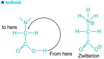 Zwitterion Learn Its Definition Structure Example And Uses