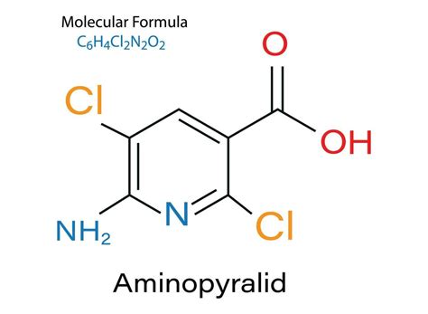 químico fórmula aminopiralida herbicida molécula esquelético vector