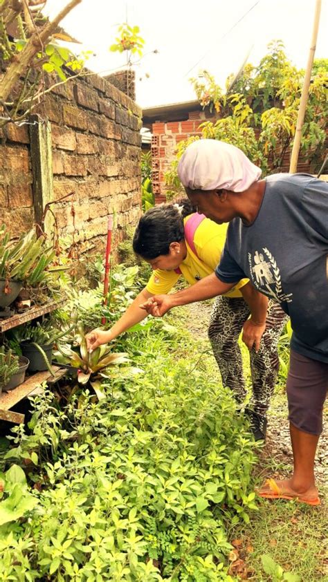 Prefeitura de Parobé inicia força tarefa para combater à dengue no