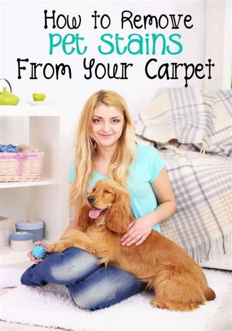 Carpet Cleaning Pet Stains