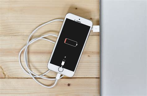 Why Won T My IPhone Charge 7 Ways To Fix It TechCult