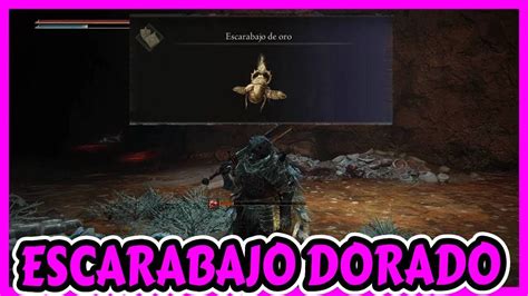 Donde Encontrar El Talisman De Escarabajo De Oro En Elden Ring