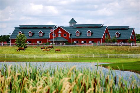 Warm Springs Ranch: Clydesdale Heaven - stlMotherhood