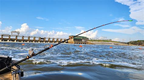 UNEXPECTED GIANT Caught While Fishing MASSIVE SPILLWAY Biggest Of