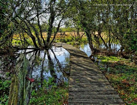 The Curraghs In Ballaugh Manx Scenes Photography