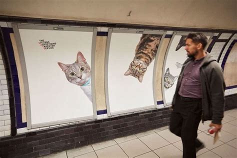 The Subvertising Movement Simplygraphics