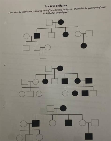 Solved Practice Pedigrees Determine The Inheritance Pattern Chegg