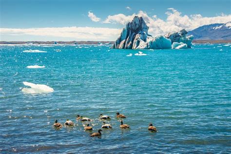 Vista Maravillosa De La Laguna Del Glaciar Jokulsarlon En Islandia