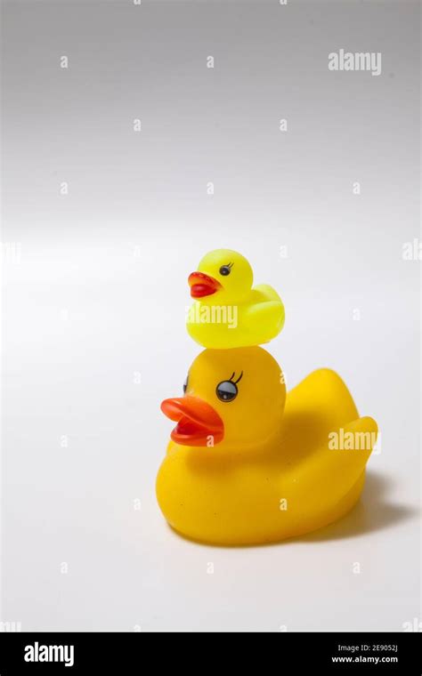 Mama Rubber Duck And Her Duckling On Her Head Isolated Stock Photo Alamy