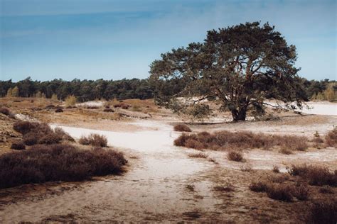 Tips Voor Landschapsfotografie Reislegende Nl