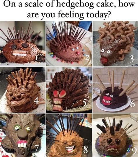 Pin By Colleen Palmer On Funnies Hedgehog Cake Cake Fails Sonic Cake