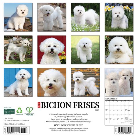 Buy Bichon Frise Calendar Order Online Easily Kalenderwinkel Nl