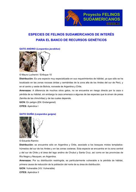 Pdf Especies De Felinos Sudamericanos De Localizado En Las Zonas