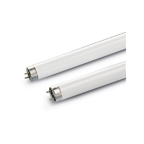 Tube 21W/865 T5 Lumière Du Jour (par 10)